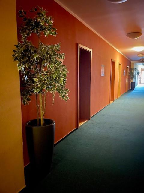 Hotel U Milina Kültér fotó
